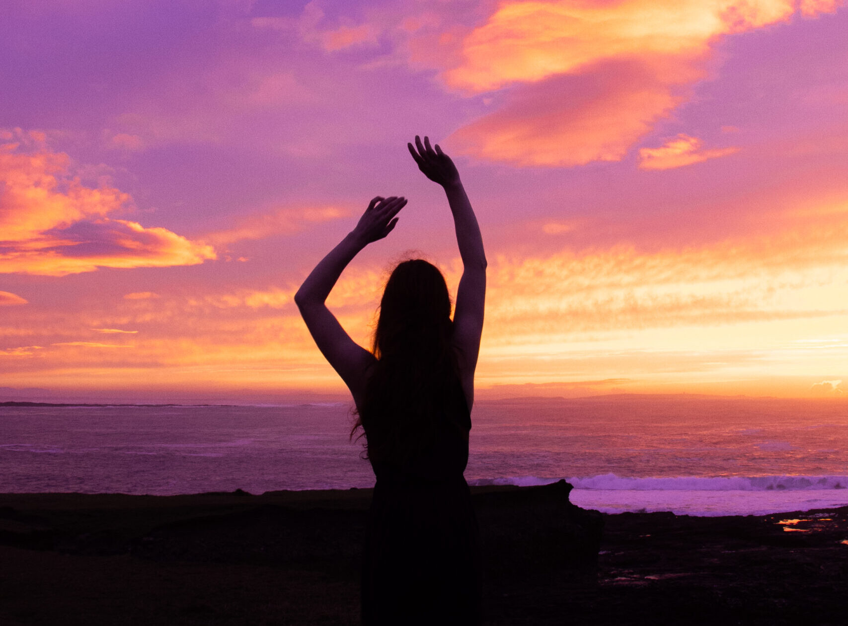 communication animale